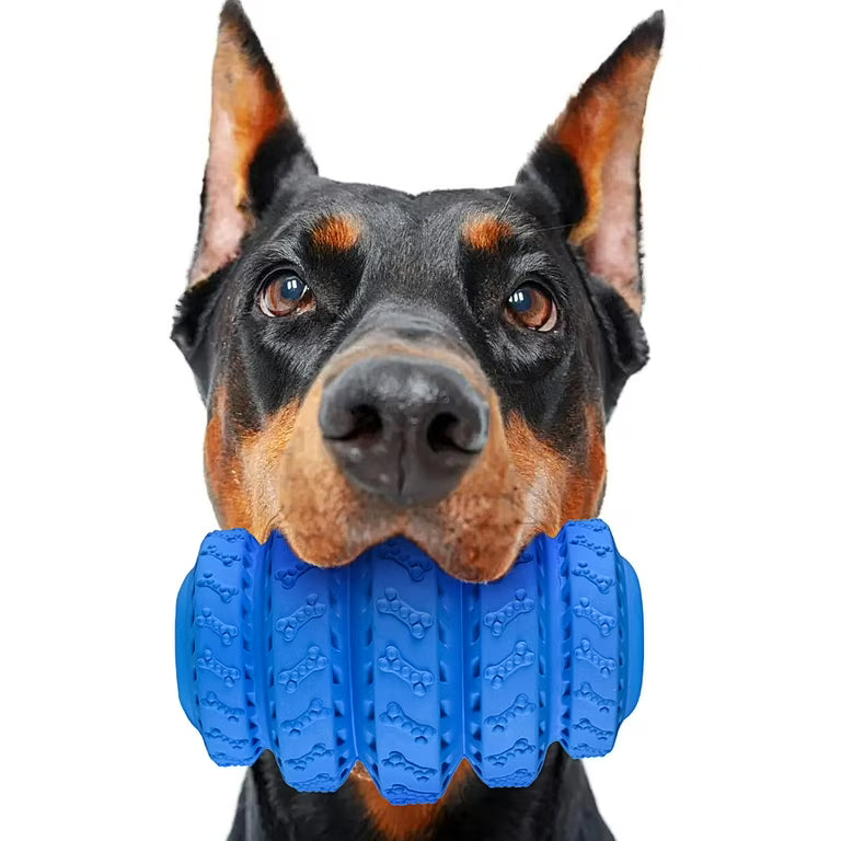Dog Chew Toy Durable